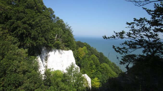 Kreidefelsen auf Rügen